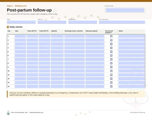 Post-partum follow-up preview