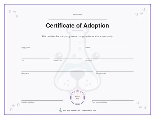 Certificate of adoption preview
