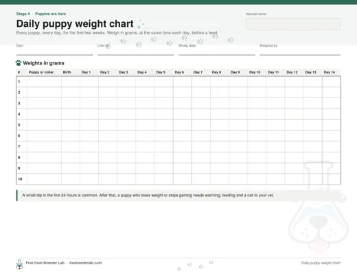 Daily puppy weight chart preview