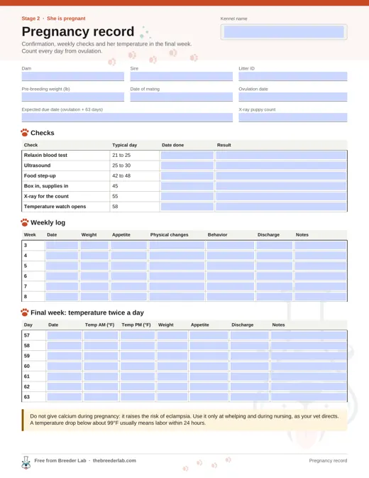 Pregnancy record preview